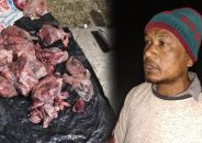 পাথরঘাটায় হরিণের মাংসসহ আটক ১