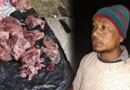 পাথরঘাটায় হরিণের মাংসসহ আটক ১