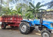 আমতলীতে সরকারী পরিত্যাক্ত ভবন ভেঙ্গে ইট চুরির সময় ট্রলিসহ ৪ জন আটক