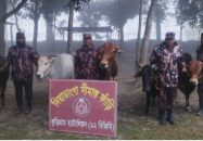 কুড়িগ্রামে ৩৮ লাখ টাকার চোরাচালানের মালামাল জব্দ