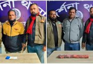 দর্শনায় ডিবির পৃথক অভিযানে আটক ২, ইয়াবা ও ট্যাপেন্টাডল ট্যাবলেট উদ্ধার