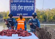 সুন্দরবনে ১০০ কেজি হরিণের মাংস ও ৪ হাজার মিটার ফাঁদ উদ্ধার