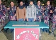 জীবননগরে ইয়াবাসহ দুজন আটক