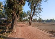 কাঁঠালবাড়িগামী সড়ক নির্মাণে ব্যাপক অনিয়ম!