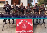 জীবননগর সীমান্ত থেকে বিপুল পরিমাণ ফেয়ারডিল উদ্ধার