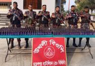 জীবননগর সীমান্ত থেকে বিপুল পরিমাণ ফেয়ারডিল উদ্ধার