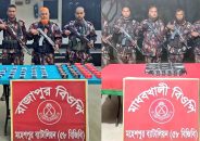 জীবননগর সীমান্ত থেকে দুই হাজার ৩০ পিস ভায়াগ্রা ট্যাবলেট উদ্ধার