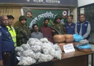 ফতুল্লায় ৪০ কেজি গাঁজাসহ দুই মাদককারবারি গ্রেফতার