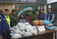 ফতুল্লায় ৪০ কেজি গাঁজাসহ দুই মাদককারবারি গ্রেফতার