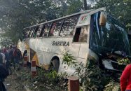 উজিরপুরে বেপরোয়া সাকুরা পরিবহনের চাপায় গ্রামীণ ব্যাংকের কর্মচারী নিহত