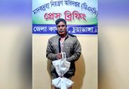 জীবননগরে গাঁজাসহ একজন আটক