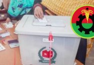 ব্যালট বই ছিনতাই করে ধানের শীষে সিল