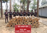পানছড়িতে বিজিবির অভিযানে অবৈধ সেগুন কাঠ জব্দ