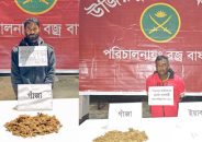 উজিরপুরে ইয়াবা ও গাঁজাসহ দুই মাদক বিক্রেতা গ্রেপ্তার