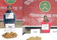 উজিরপুরে ইয়াবা ও গাঁজাসহ দুই মাদক বিক্রেতা গ্রেপ্তার
