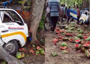 তরমুজবোঝাই পিকআপের নিয়ন্ত্রণ হারিয়ে প্রাণ গেল ব্যবসায়ীর