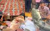 জেলের জালে ধরা পড়লো ৯০ কেজির বাঘাইড় মাছ, বিক্রি হলো ১ লাখে