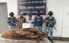 পাথরঘাটায় হরিণ শিকার কাণ্ডে স্বামী কারাগারে, লজ্জায় তালাক দিলেন স্ত্রী