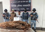 পাথরঘাটায় হরিণ শিকার কাণ্ডে স্বামী কারাগারে, লজ্জায় তালাক দিলেন স্ত্রী