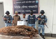 পাথরঘাটায় হরিণ শিকার কাণ্ডে স্বামী কারাগারে, লজ্জায় তালাক দিলেন স্ত্রী