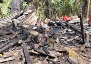 বাবুগঞ্জে ভয়াবহ অগ্নিকাণ্ড, কৃষকের গরু-ছাগল, ঘরবাড়ি পুড়ে ছাই