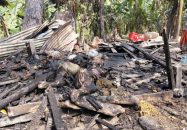 বাবুগঞ্জে ভয়াবহ অগ্নিকাণ্ড, কৃষকের গরু-ছাগল, ঘরবাড়ি পুড়ে ছাই