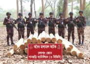 পানছড়িতে বিজিবি’র অভিযানে অবৈধ সেগুন কাঠ জব্দ