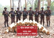 পানছড়িতে বিজিবি’র অভিযানে অবৈধ সেগুন কাঠ জব্দ
