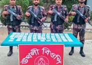 জীবননগর সীমান্তে পৌনে ৭ লাখ টাকার ভারতীয় ওষুধ উদ্ধার