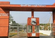 পবিপ্রবিতে সিনিয়র-জুনিয়র দ্বন্দ্বে সংঘর্ষ, আহত ২০