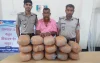 নেত্রকোনায় ২৮ কেজি গাঁজাসহ মাদক ব্যবসায়ী আটক