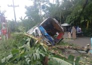 নলছিটিতে নিয়ন্ত্রণ হারিয়ে বাস খাদে, ১০ যাত্রী আহত