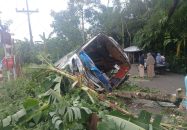 নলছিটিতে নিয়ন্ত্রণ হারিয়ে বাস খাদে, ১০ যাত্রী আহত