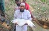 ভোলায় মৎস্য চাষে আমির হোসেনের ভাগ্য বদল, পেয়েছেন জাতীয় পর্যায়ে স্বীকৃতি ও বিভিন্ন পুরস্কার