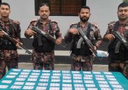 জীবননগর সীমান্তে বিজিবির পৃথক অভিযানে বিপুল পরিমাণ ভারতীয় ওষুধ ও মাদক উদ্ধার