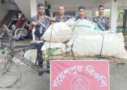 জীবননগর সীমান্তে ভারতীয় পেয়ারাসহ ব্যাটারিচালিত ভ্যান জব্দ