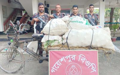 জীবননগর সীমান্তে ভারতীয় পেয়ারাসহ ব্যাটারিচালিত ভ্যান জব্দ