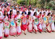 গৌরনদীতে উৎসবমুখর পরিবেশে বাংলা নববর্ষ উদযাপন