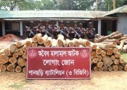 পানছড়িতে বিজিবির অভিযানে বিপুল পরিমাণ অবৈধ সেগুন-গামারী কাঠ জব্দ
