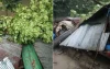 দুমকিতে কালবৈশাখী ঝড়ে ব্যাপক ক্ষতি, বিদ্যুৎ বিচ্ছিন্ন