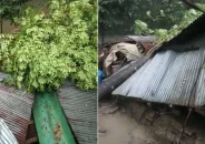 দুমকিতে কালবৈশাখী ঝড়ে ব্যাপক ক্ষতি, বিদ্যুৎ বিচ্ছিন্ন