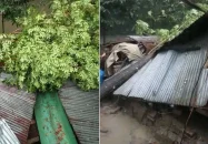 দুমকিতে কালবৈশাখী ঝড়ে ব্যাপক ক্ষতি, বিদ্যুৎ বিচ্ছিন্ন