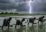 আমতলীতে চরম ঝুঁকিতে কৃষক-জেলে-শ্রমিক বজ্রপাতের ভয়াল থাবা, বাড়ছে প্রাণহানি