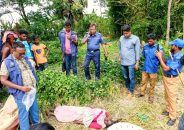 আমতলীতে ধানক্ষেতে মিলল অজ্ঞাত নারীর লাশ