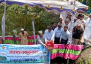 বাকেরগঞ্জে উম্মুক্ত জলাশয় পোনামাছ অবমুক্ত