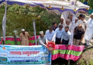 বাকেরগঞ্জে উম্মুক্ত জলাশয় পোনামাছ অবমুক্ত