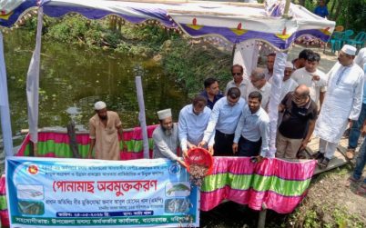 বাকেরগঞ্জে উম্মুক্ত জলাশয় পোনামাছ অবমুক্ত