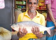 পায়রা নদীতে ধরা পড়ল ২ কেজির ইলিশ