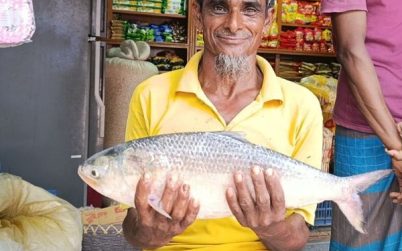 পায়রা নদীতে ধরা পড়ল ২ কেজির ইলিশ