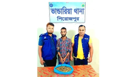 ভাণ্ডারিয়ায় ১ কেজি গাঁজাসহ মাদক ব্যবসায়ী আটক